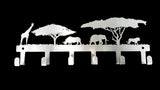 Animals Under The Acasia Trees 6 Hook Key Hook Stainless Steel Brush Finish Home Décor