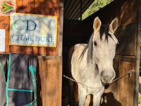 Horse House Sign Wall Art