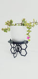Pot Plant Stand, Honeycomb Design