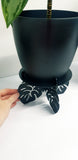 Pot Plant Stand, Monstera Design 1