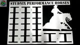 Reining & Western Mounted Rosette Hangers Horse