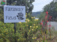 House Signs - Flower Designs