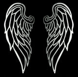 Angels Wings Set Wall Art Stainless Steel Brush Finish / Medium
