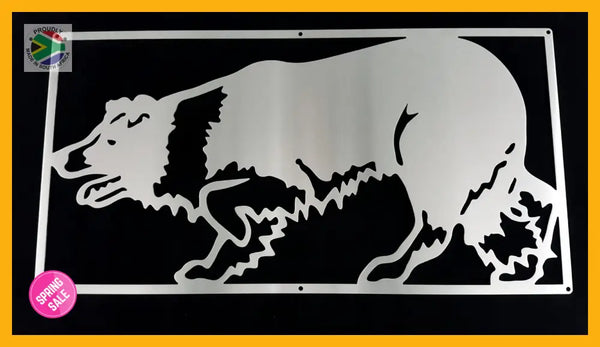 Border Collie Mounted Wall Art Stainless Steel Brush Finish